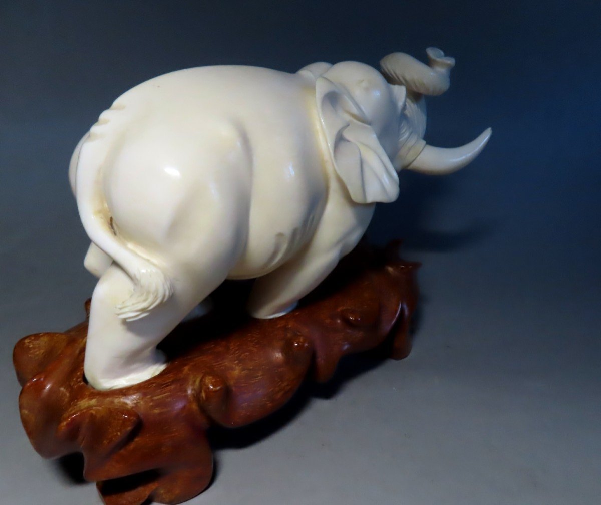 Ivory Okimono. Imposing Elephant. Japan Meiji Period (1868-1912)-photo-1