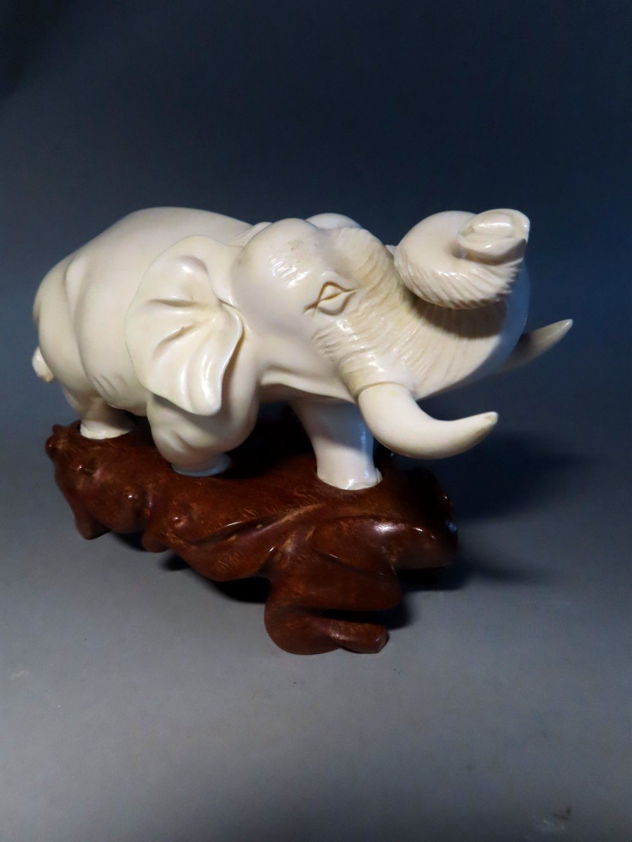 Ivory Okimono. Imposing Elephant. Japan Meiji Period (1868-1912)-photo-3