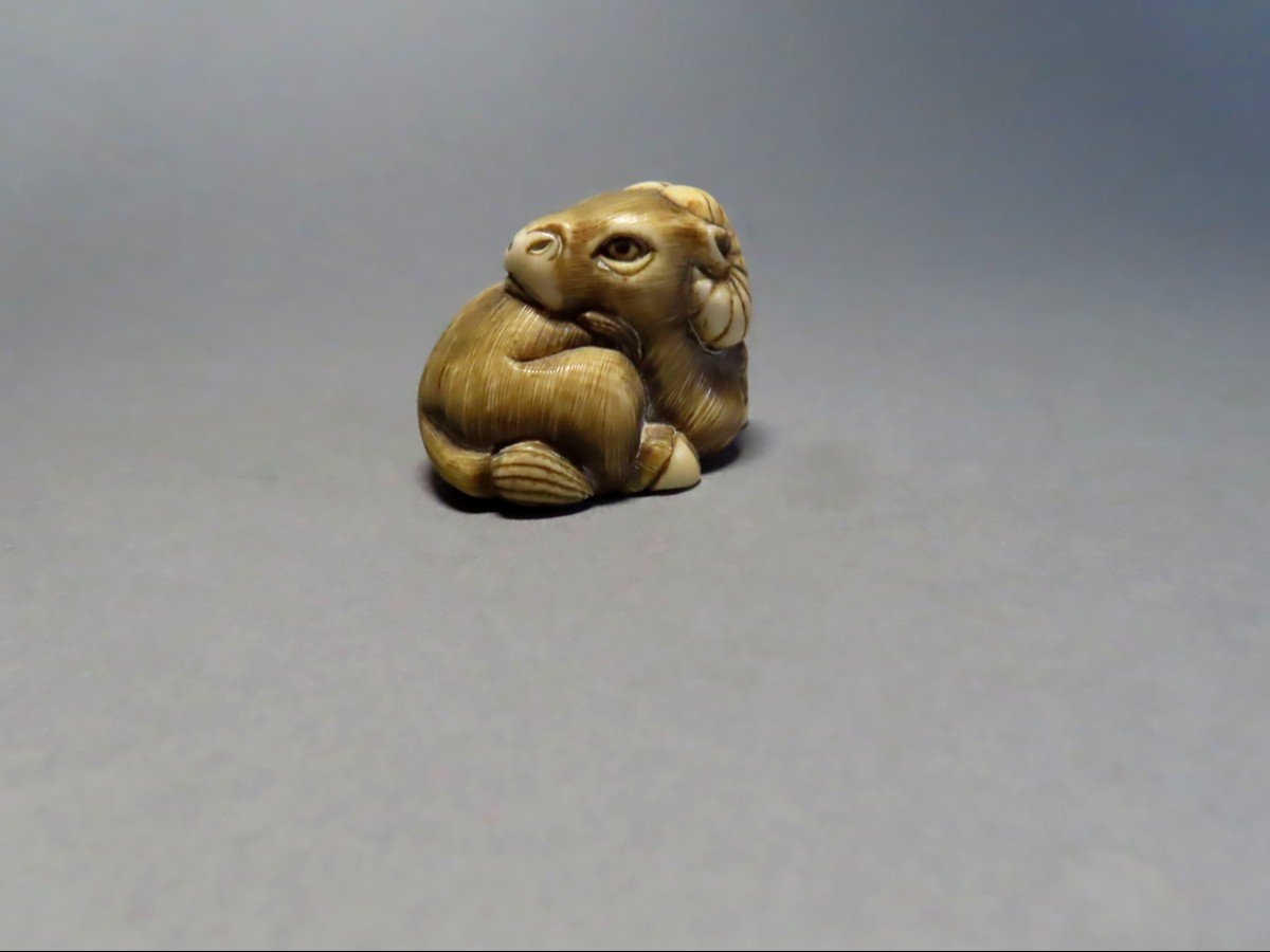 Netsuke en ivoire. Buffle couché. Japon époque Meiji (1868-1912 )-photo-2