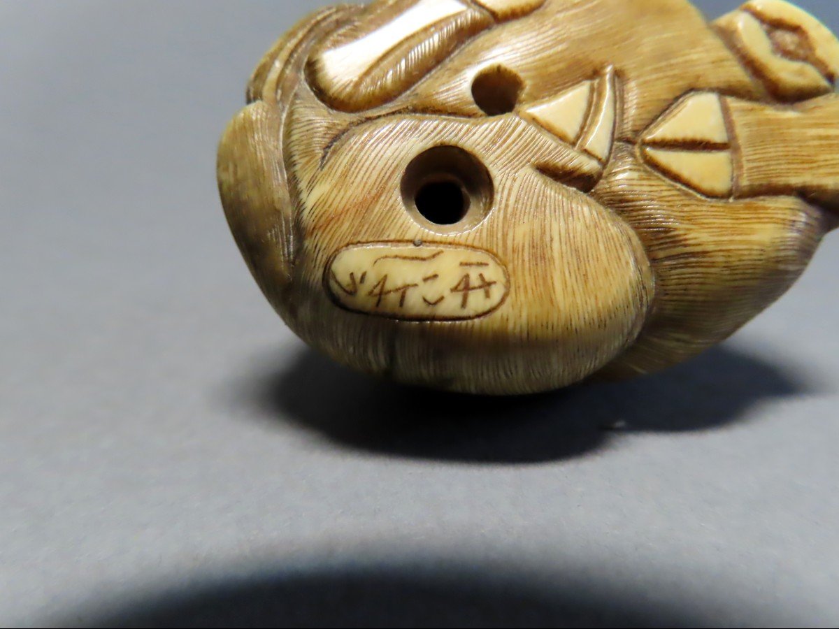 Netsuke en ivoire. Buffle couché. Japon époque Meiji (1868-1912 )-photo-4