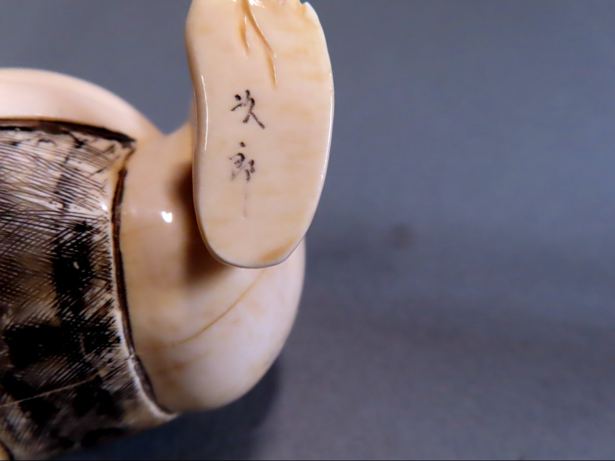 Netsuke en ivoire. Sumo. Epoque Taisho (1912-1928 )-photo-4