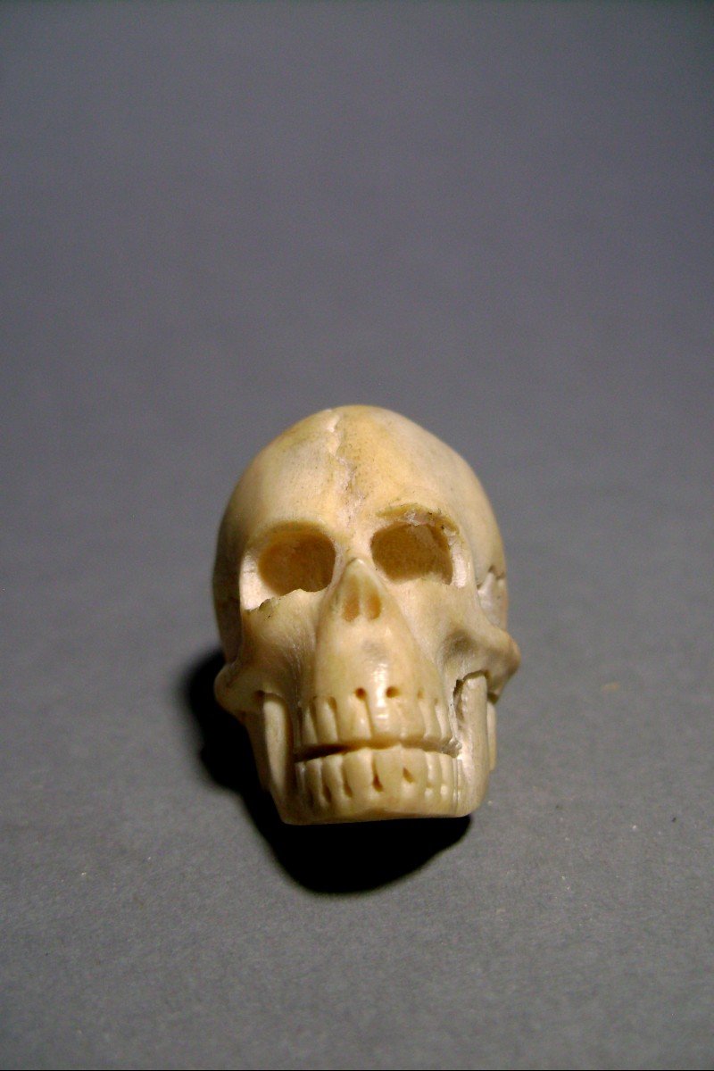 Memento Mori In Bone. XIXth-photo-2