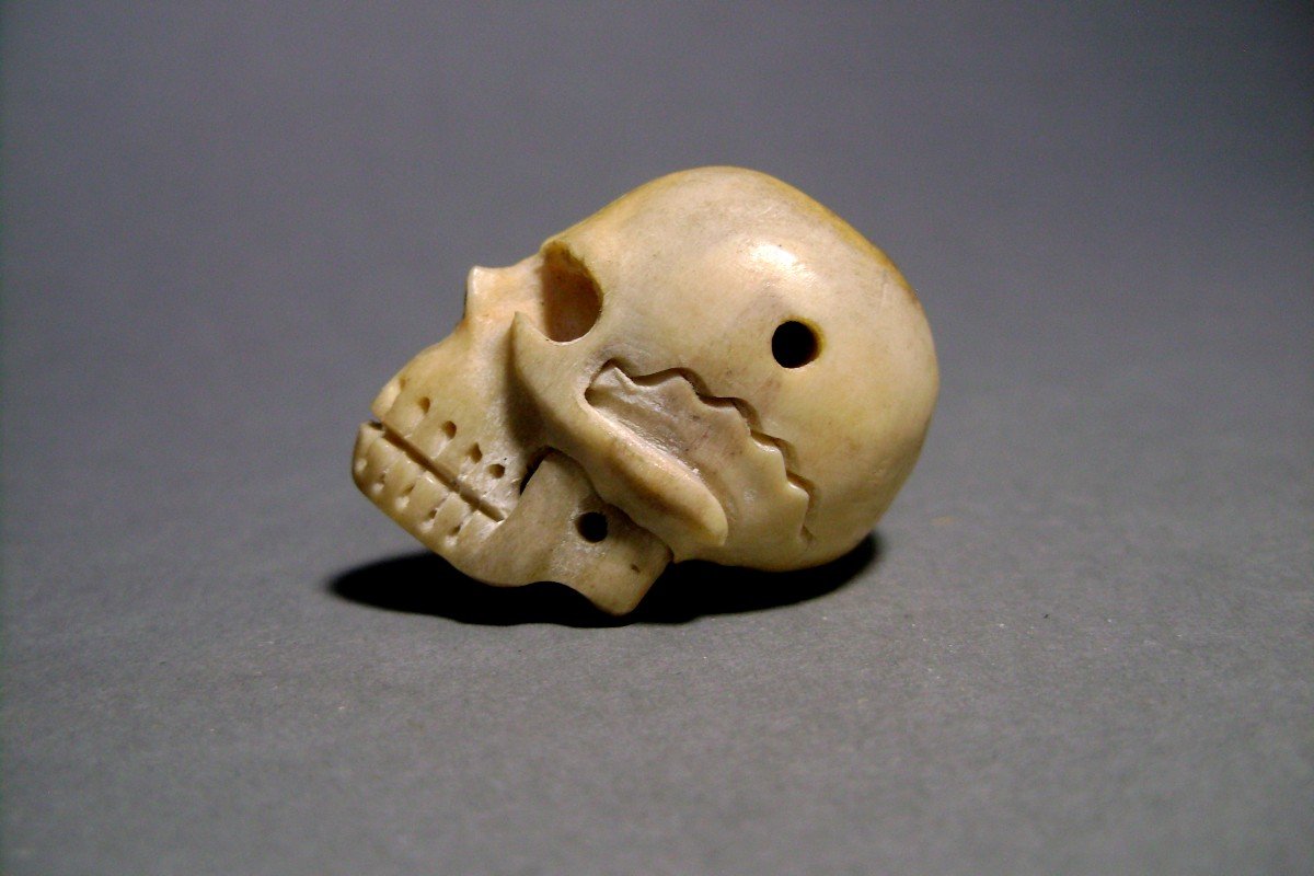 Memento Mori In Bone. XIXth-photo-3