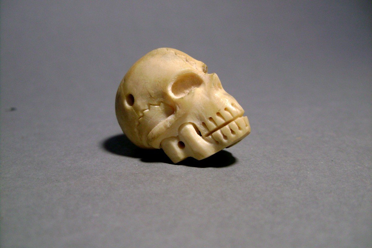 Memento Mori In Bone. XIXth