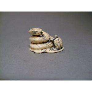 Ivory Netsuke. Little Turtle In Danger. Japan Meiji Period (1868-1912)