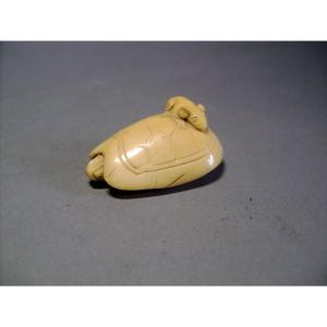 Netsuke In Ivory. Rat On Sea Turtle. Japan Meiji Period (1868-1912)