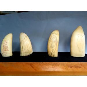 Scrimshaws, Four Sperm Whale Teeth. 19th Century