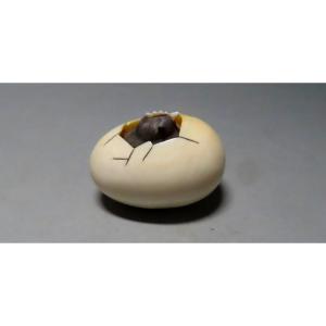 Netsuke en ivoire. Poussin noir dans une coquille. Signé Mitsuhiro, école d'Osaka. Japon Meiji 