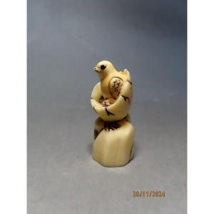 Netsuke en ivoire. Poussin dans sa coquille. Japon époque Taisho (1912-1928 )