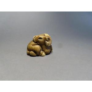 Netsuke en ivoire. Buffle couché. Japon époque Meiji (1868-1912 )