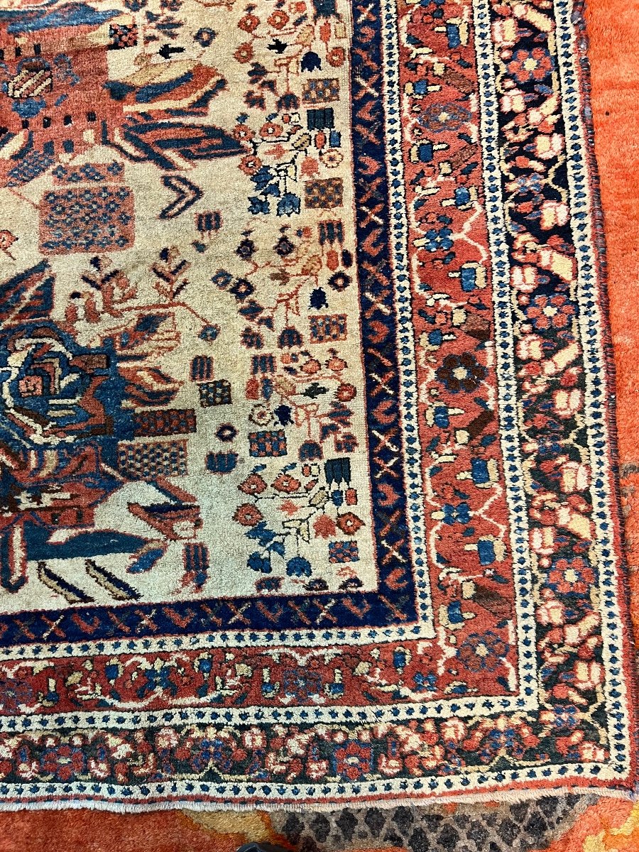 Afchar Rug-photo-3