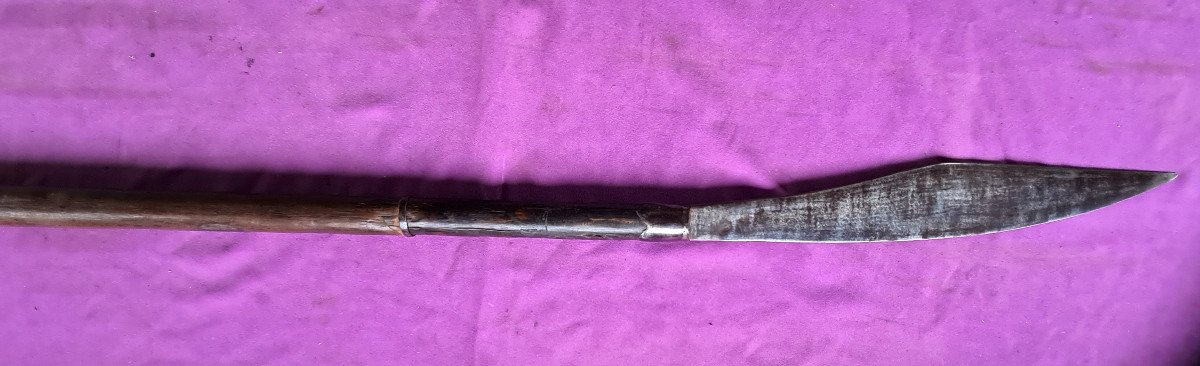 "fauchard"  (war Falchion) From  "pavillons Noirs" Indochina 19th Century-photo-4