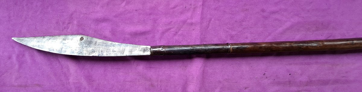 "fauchard"  (war Falchion) From  "pavillons Noirs" Indochina 19th Century