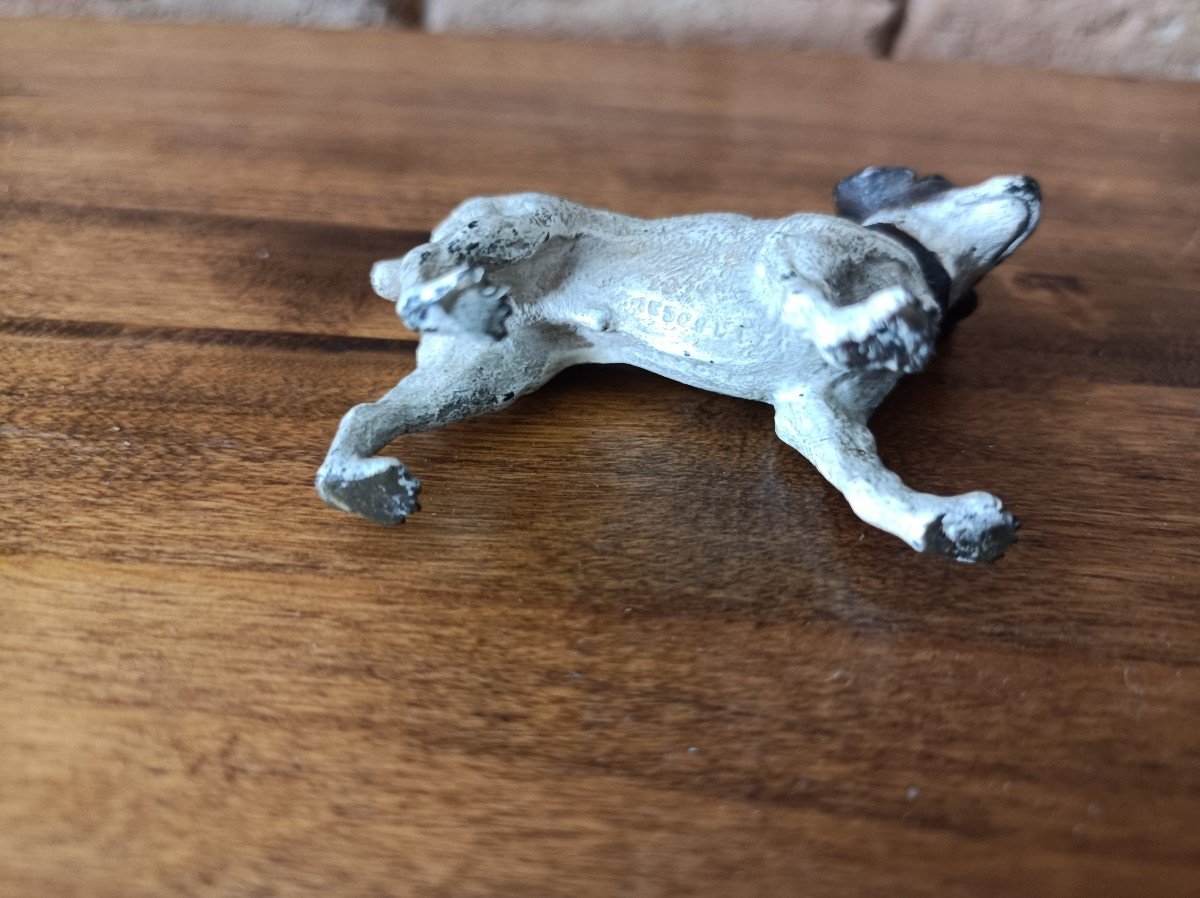 Vienna Bronze Hunting Dog Signed Geschützt, 19th Century-photo-4