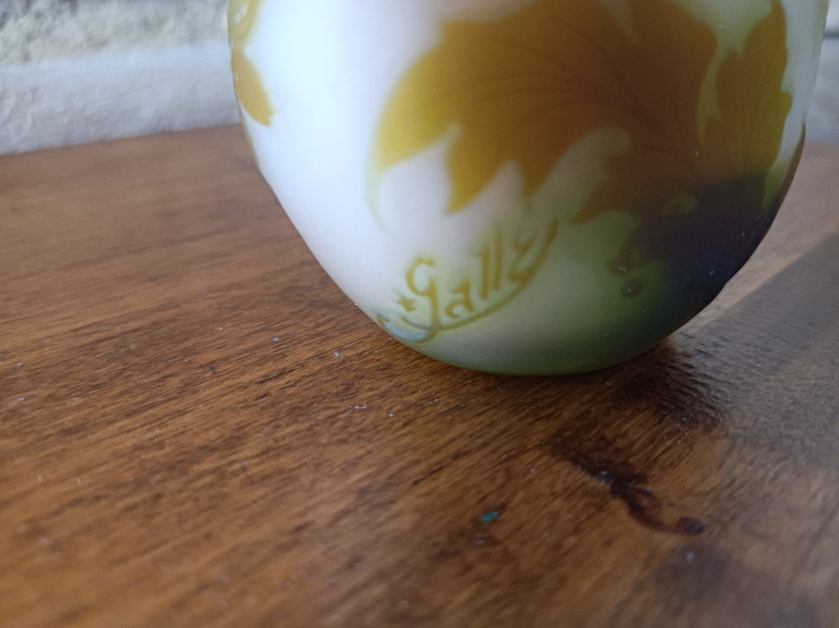 Emile Gallé Soliflore Vase With Umbelliferae Decoration Signature With Star -photo-3