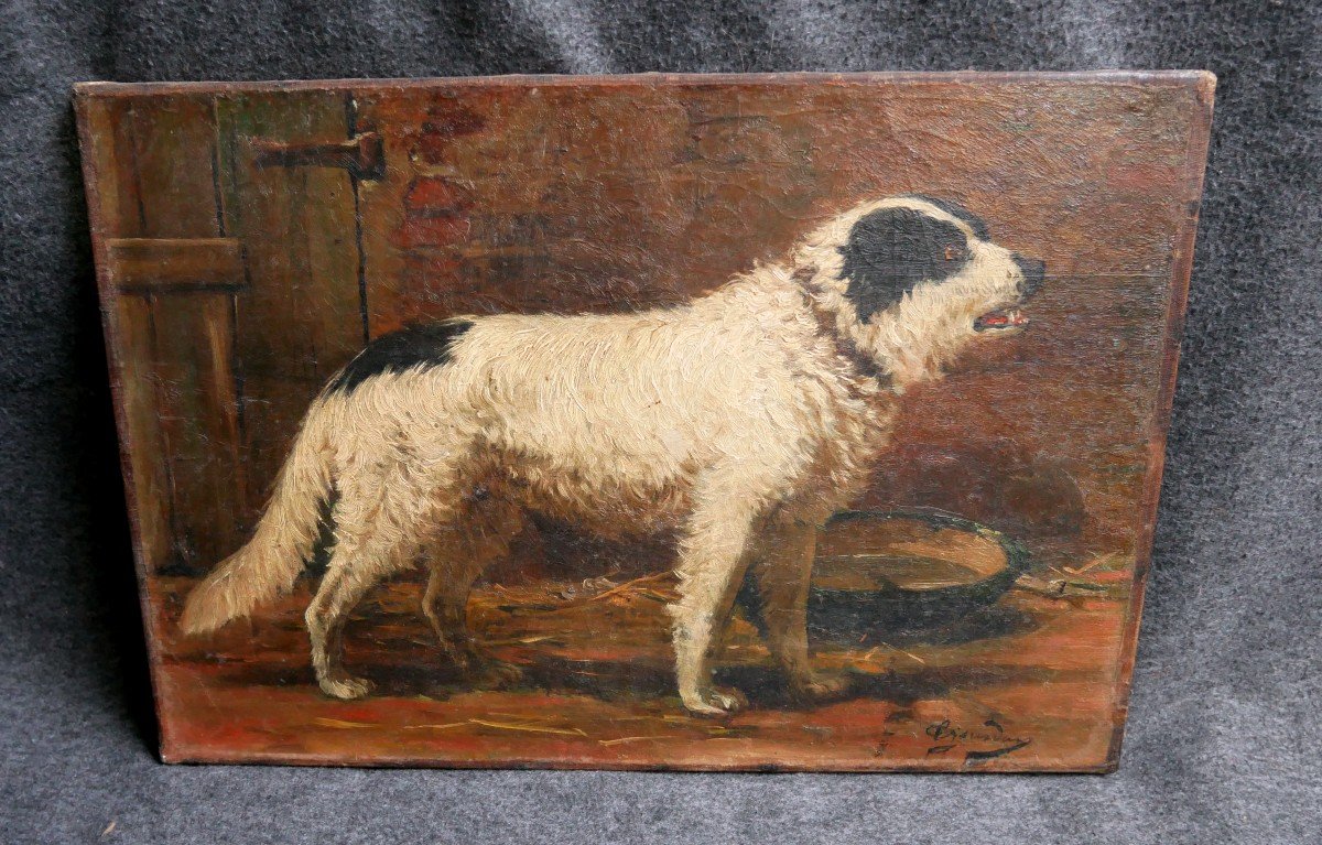 Portrait Of Dog, Border Collie Type, Oil On Canvas, Signed, 19th Century