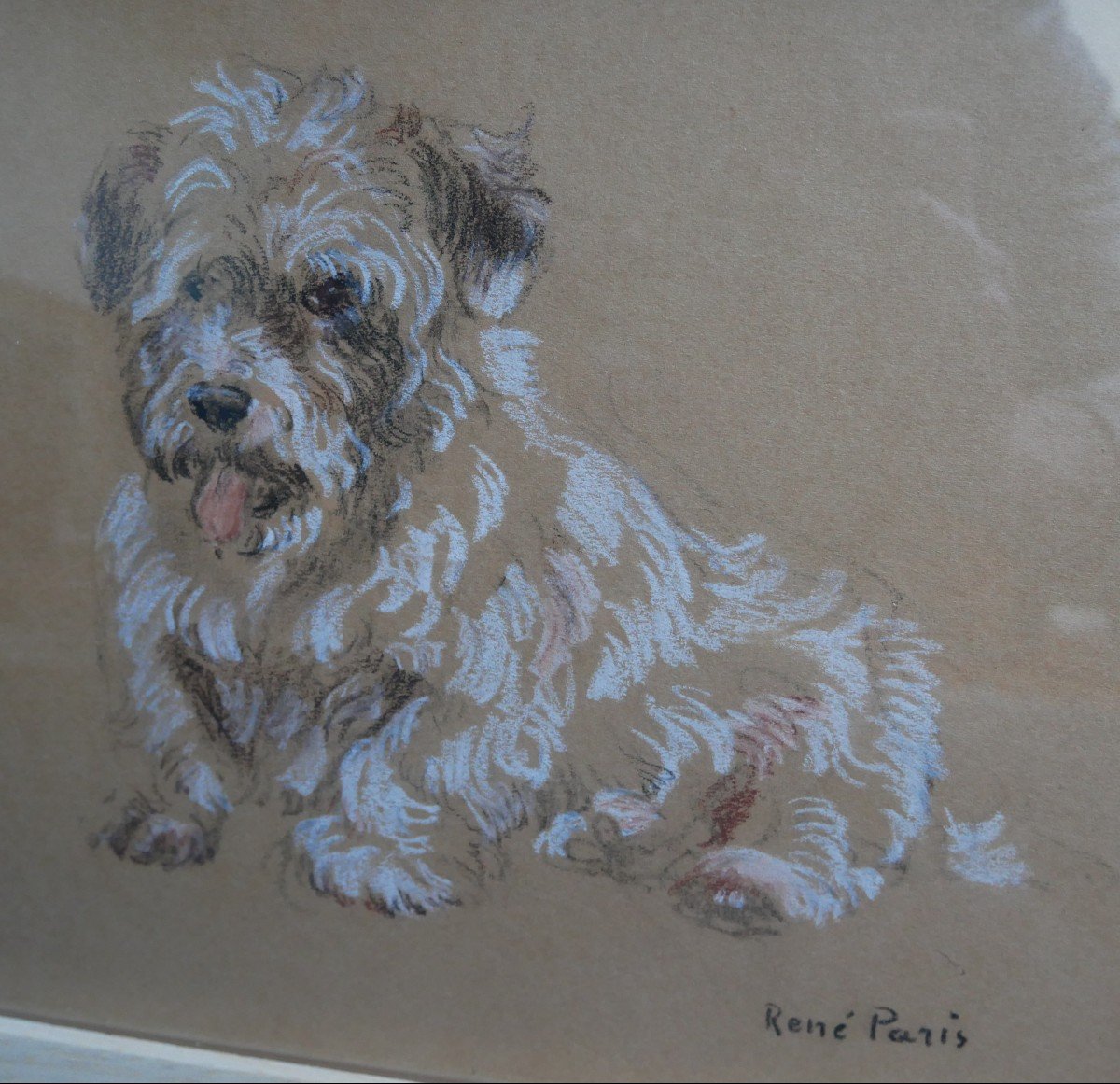 René Paris, Etude De Chien, Pastel Sur Papier, Signé, 1900-photo-2