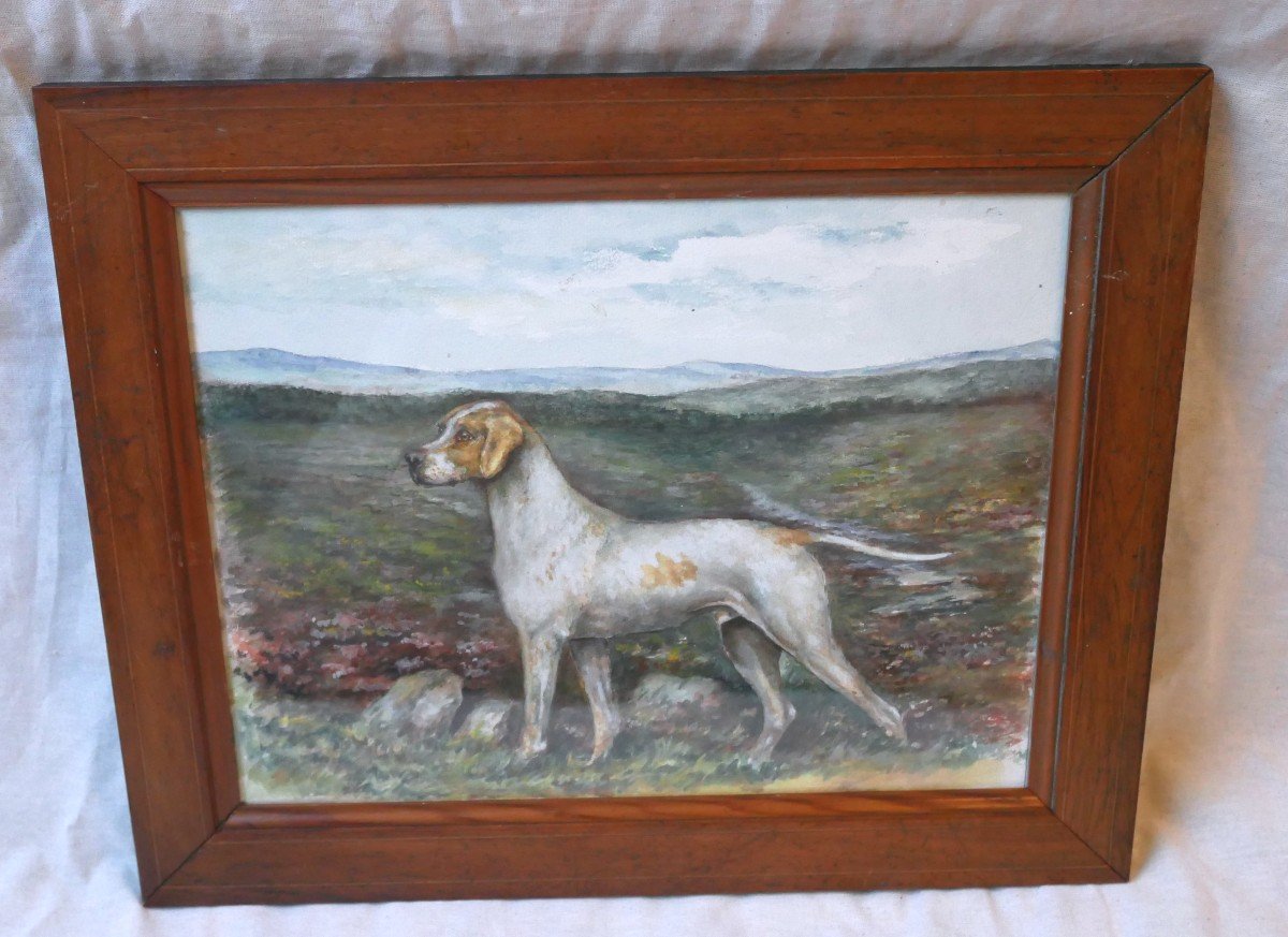 Portrait Of A Dog, Pointing Hunting Dog, Watercolor On Paper, 1900