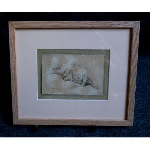 Study Of Sheep, Ink On Paper, Animal Drawing, Signed, 19th Century