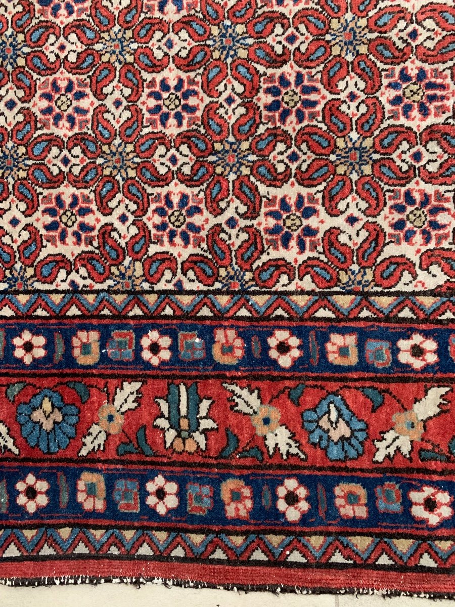 Kurdish Senneh Wool Rug, Early 20th Century-photo-2