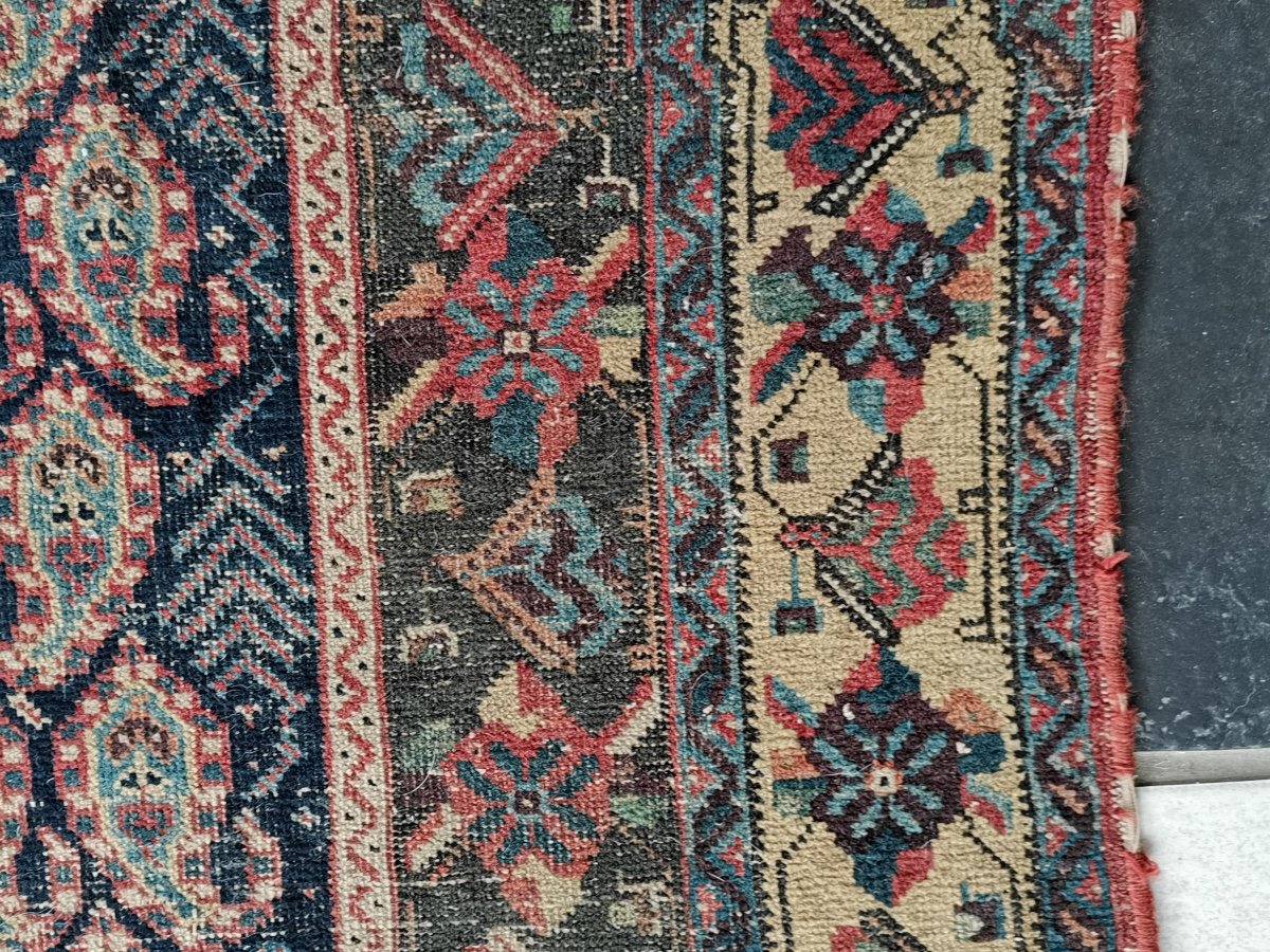 Senneh Rug From Iran, Wool, Period Late 19th/early 20th Century-photo-3