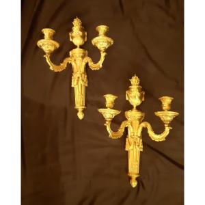 Pair Of Chiseled And Gilded Bronze Sconces From The Louis XVI Period