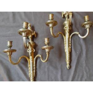 Pair Of Louis XVI Gilt Bronze Sconces