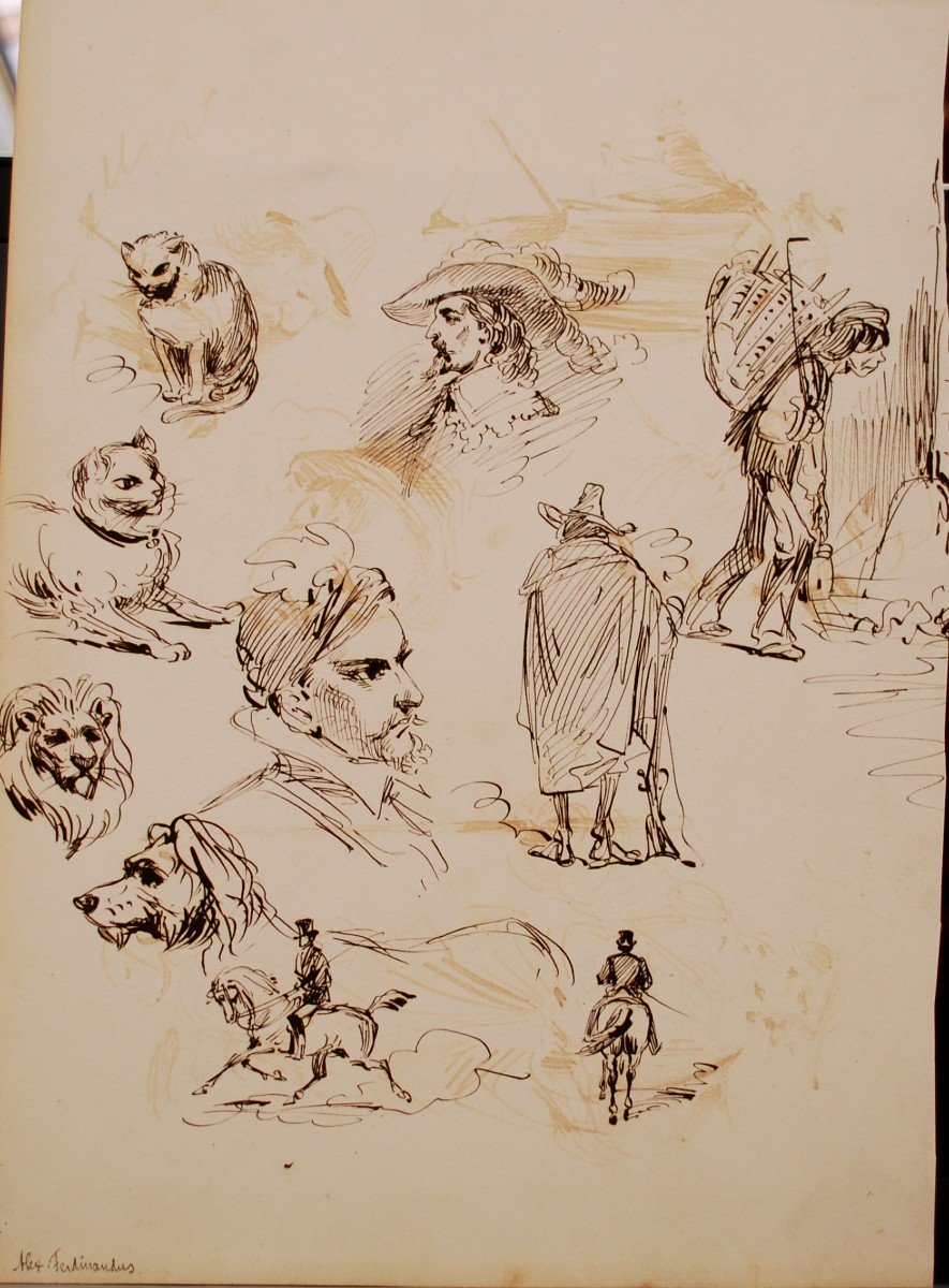 Dessin à l'Encre De Chine Différentes Esquisses Par Alexandre Ferdinandus (1850-1888) Artiste 