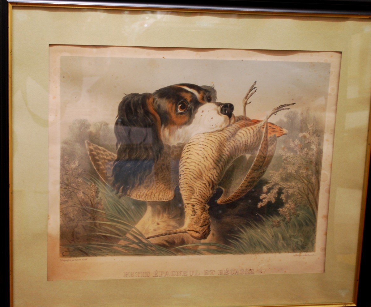 Chiens De Chasse Paire De Lithographies-photo-3