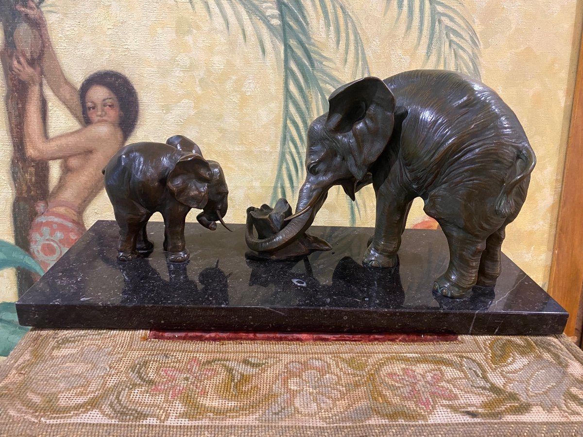 Elephants By Ulisse Caputo 