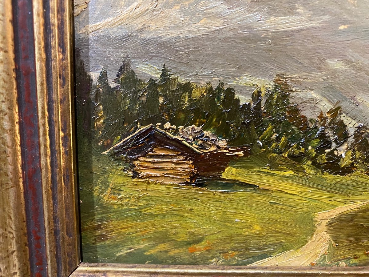 Oil, Mountain Landscape (garmisch) By Heinz Theis -photo-4