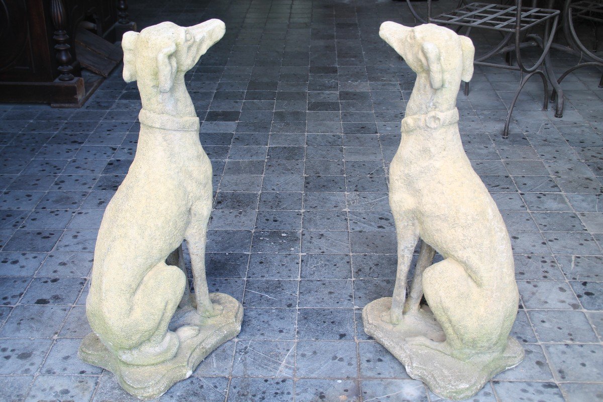 Greyhound In Reconstituted Stone-photo-3