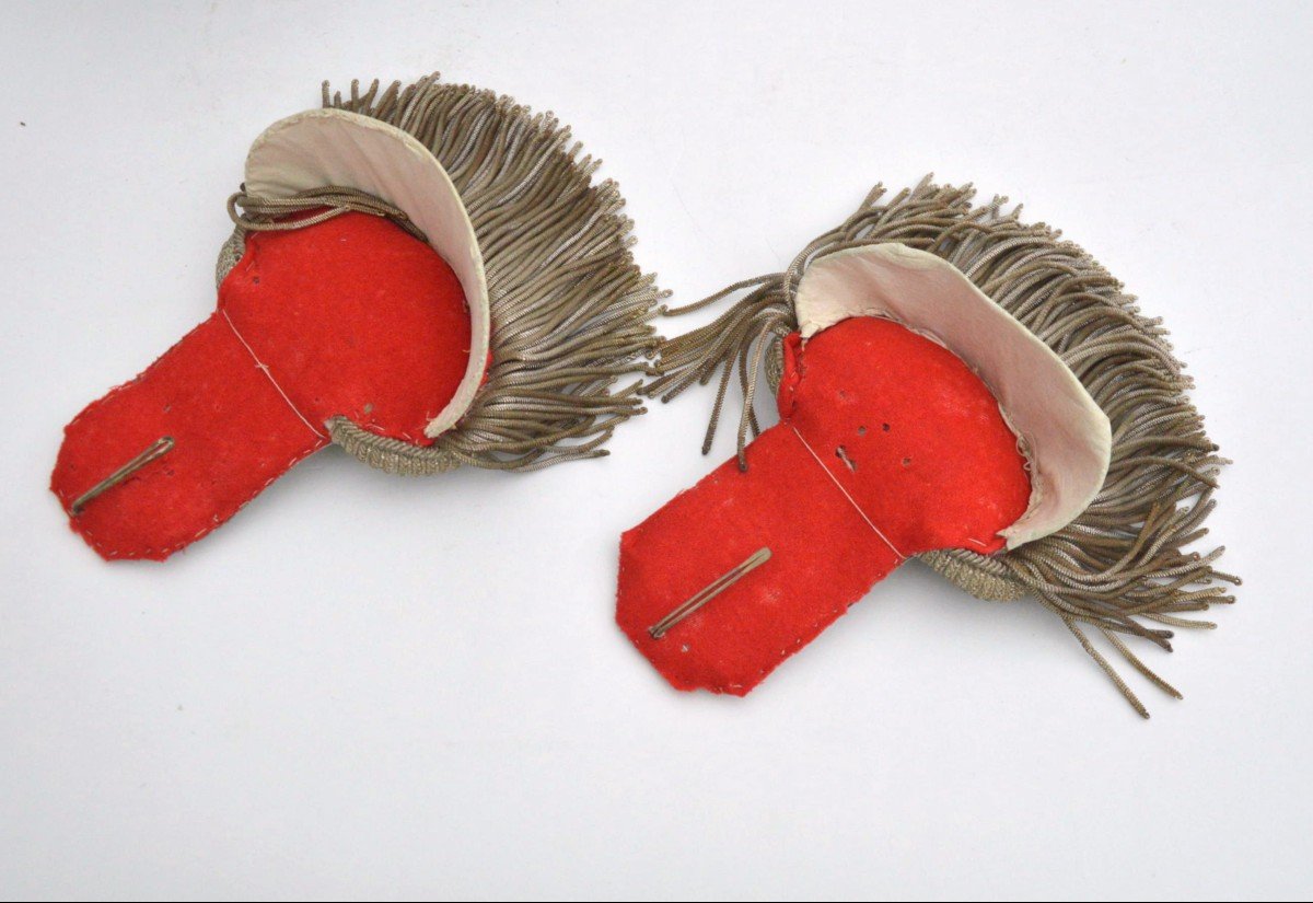 Pair Of Officer's Epaulettes 19th Century-photo-4