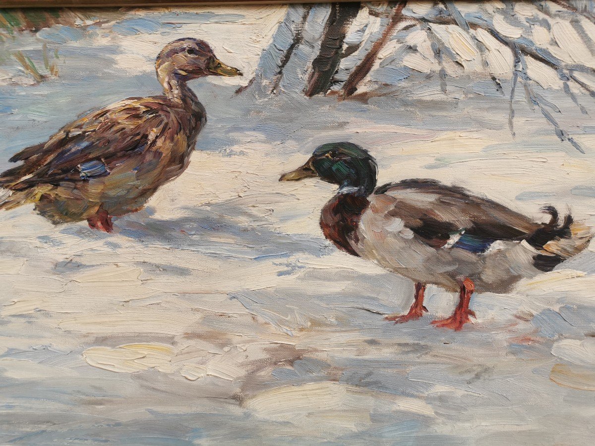 Deux Canards Dans La Neige 1910 TIEDJEN WILLY