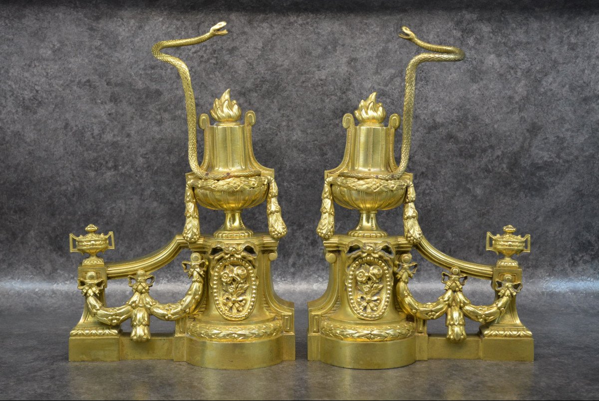 Pair Of Andiron Bronze Snake Decor