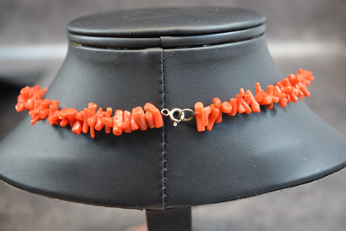 Collier De Corail Rouge-photo-2