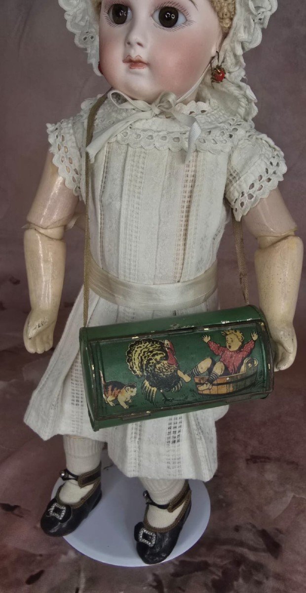 Beautiful And Rare Butterfly Or Insect Box Doll-photo-3