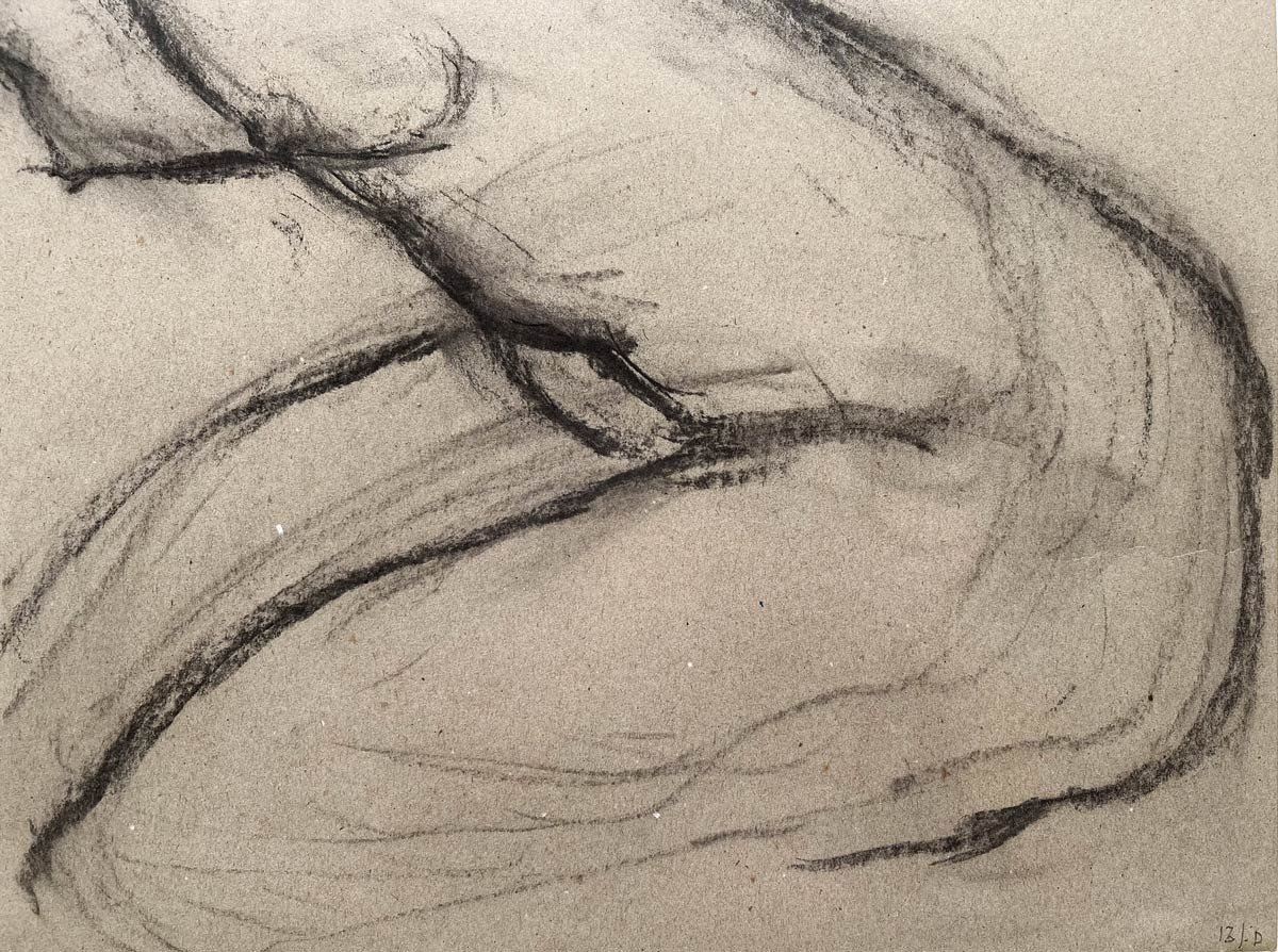 Female Nude - Charcoal Drawing - Pierre Lèbe-photo-3