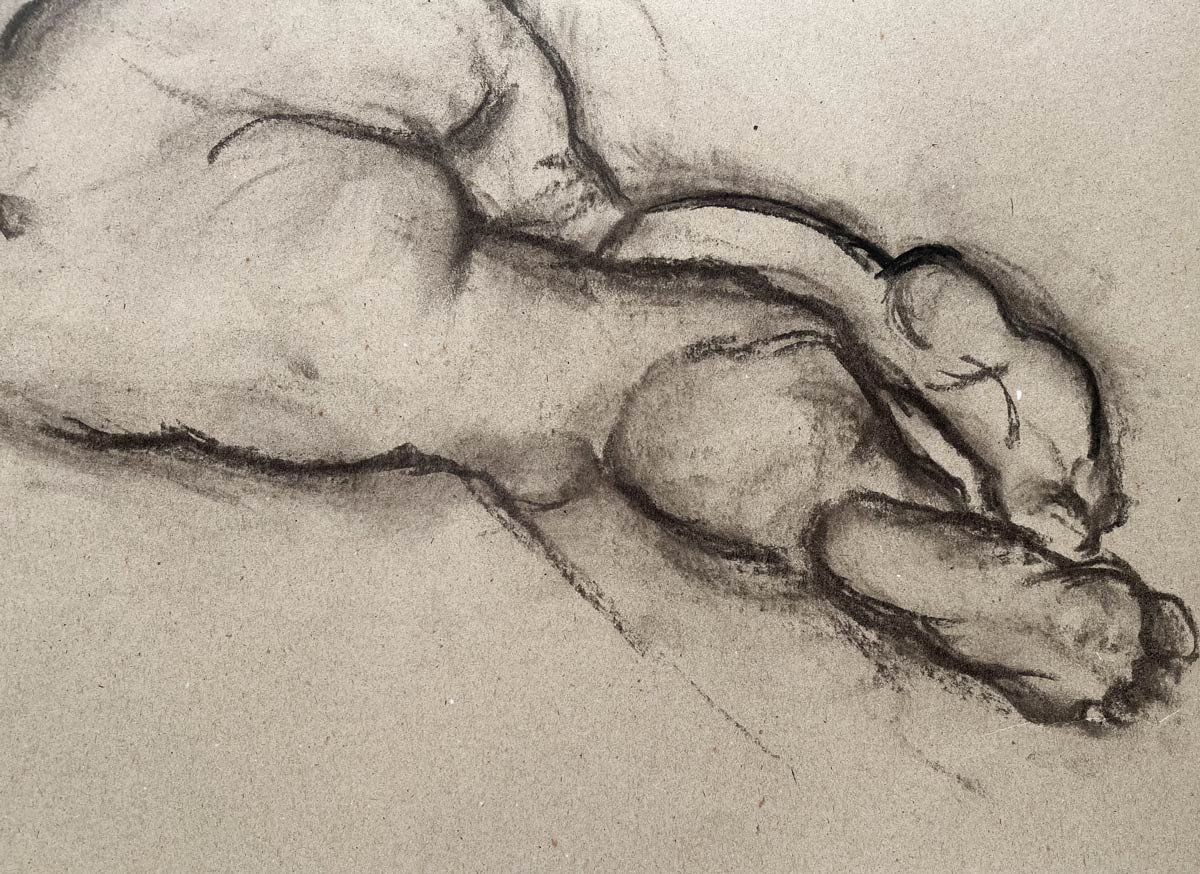 Female Nude - Charcoal Drawing - Pierre Lèbe (1929-2008)-photo-3