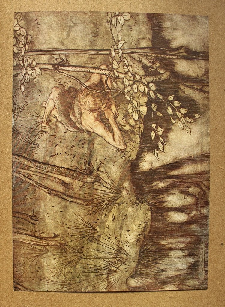 Richard WAGNER  "Siegfried & le Crépuscule des Dieux"  Ill. Arthur RACKHAM - 1/350 num. & signé-photo-4