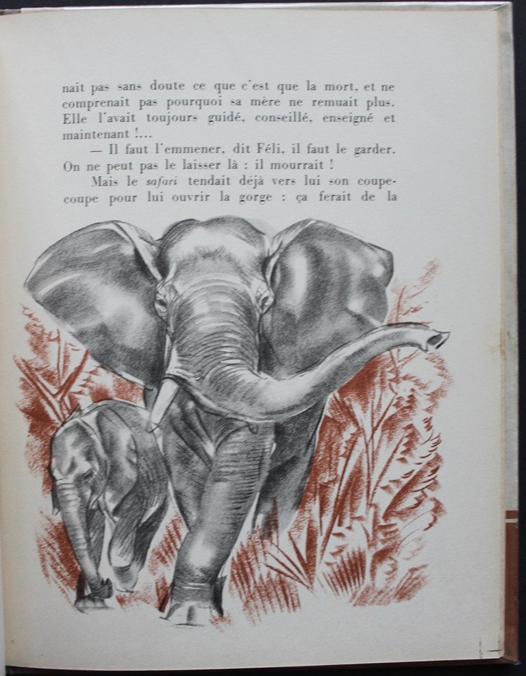 Alexandre IACOVLEFF - Pierre MILLE "Feli et M'Bala l'Eléphant" ill.  1938 Très bel ex.-photo-2