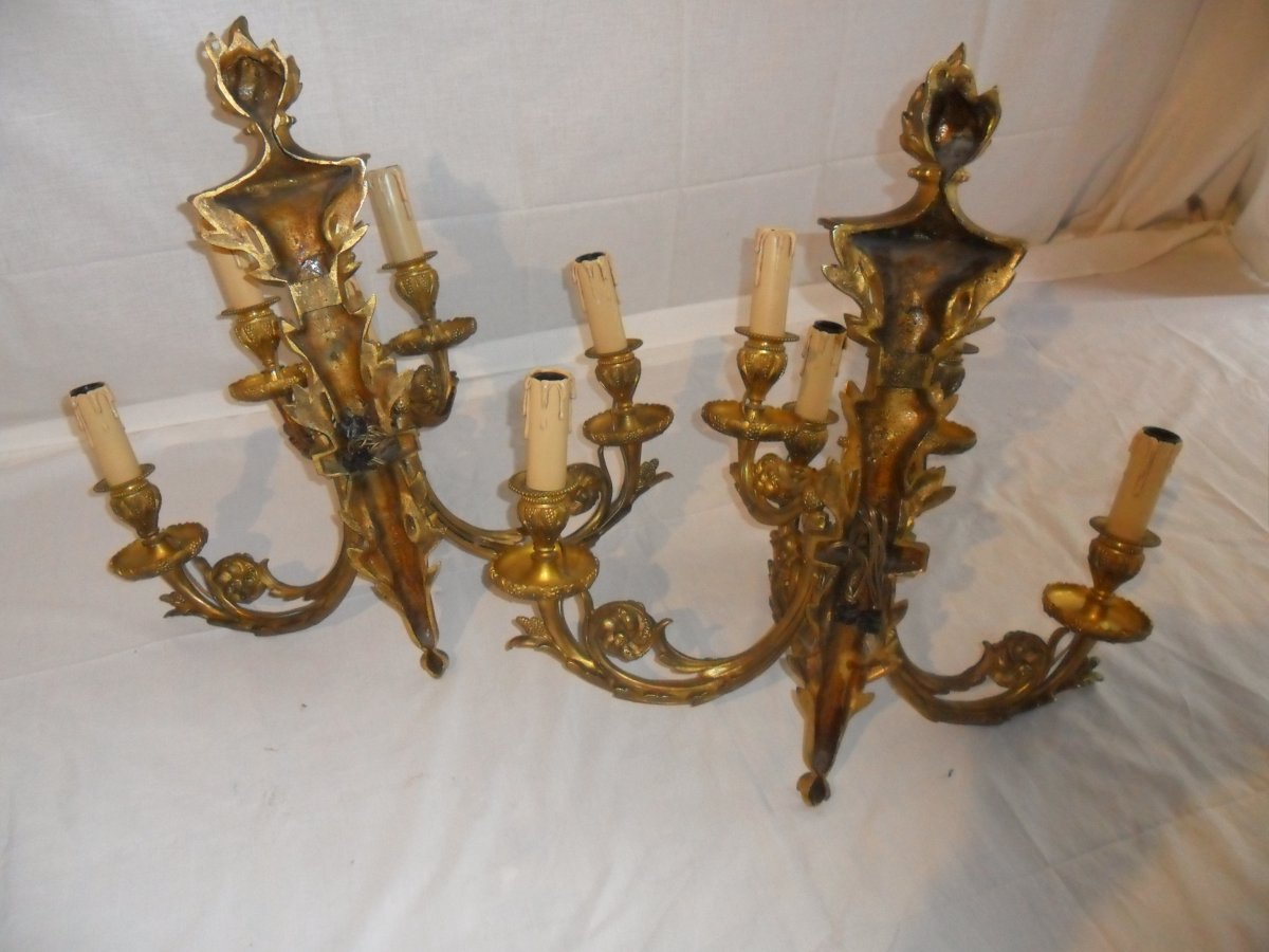 Large Pair Of 5 Light Louis XVI Style Gilt Bronze Sconces-photo-2