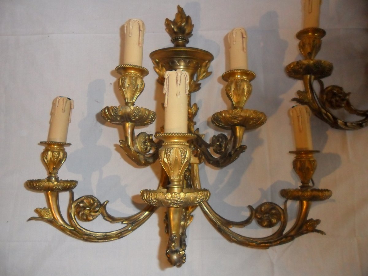 Large Pair Of 5 Light Louis XVI Style Gilt Bronze Sconces-photo-5