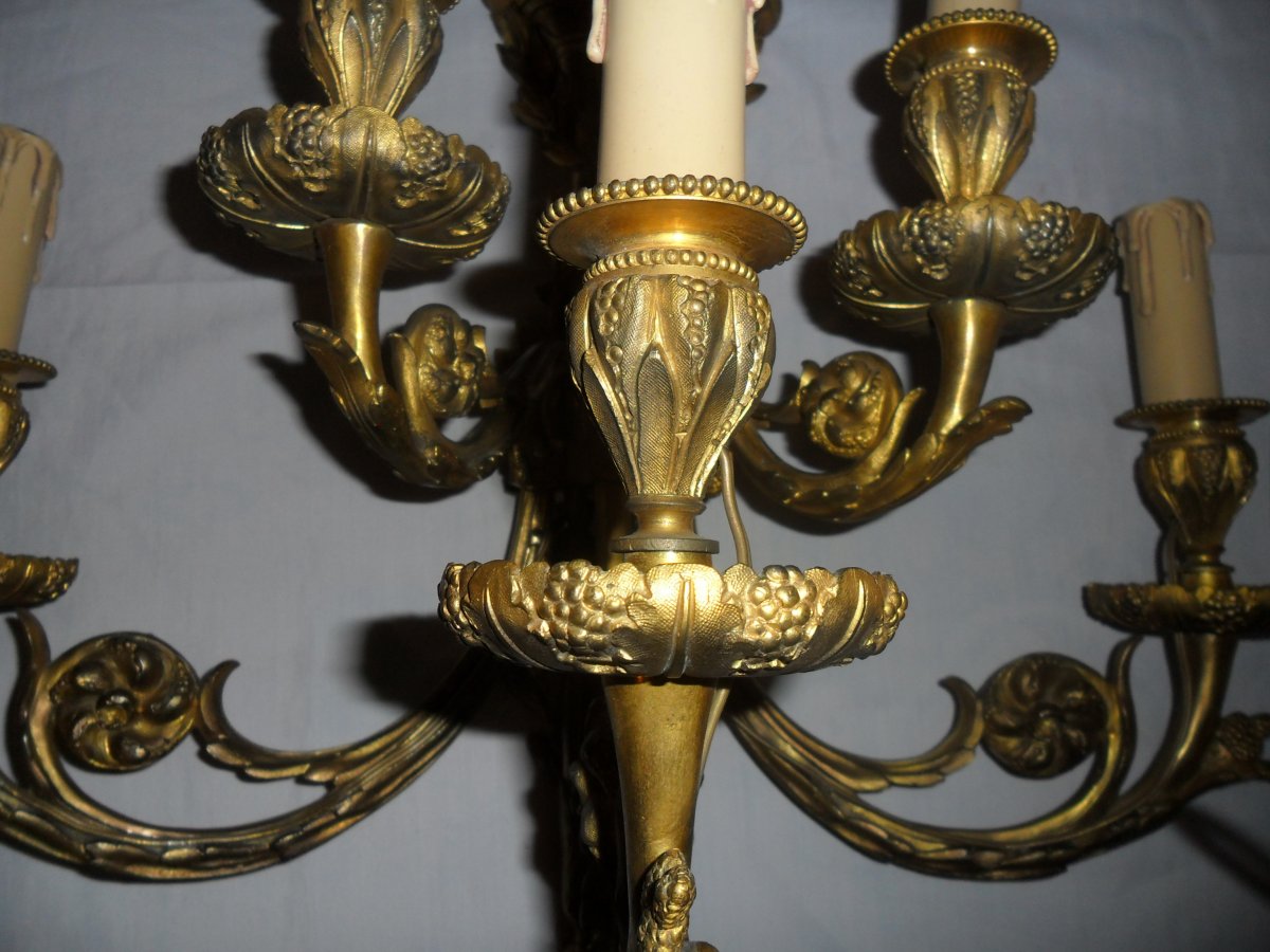 Large Pair Of 5 Light Louis XVI Style Gilt Bronze Sconces-photo-8