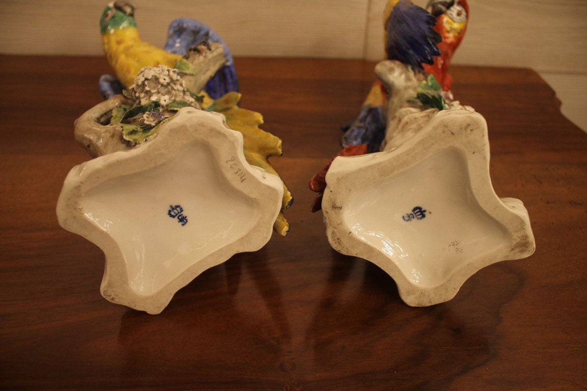 Couple De Perroquets En Porcelaine Polychrome De Sitzendorf-photo-4