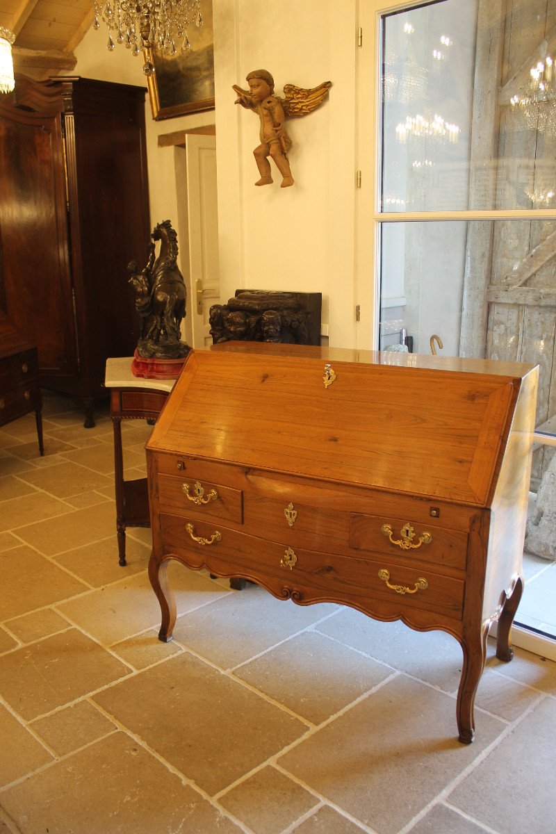 Solid Manchineel Sloping Desk, Nantais Work, Louis XV Period-photo-6