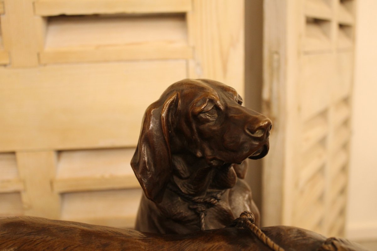 Brillador And Fanfaron Pack Dogs, Bronze By Auguste Cain (1821-1894), Fonte Susse-photo-3