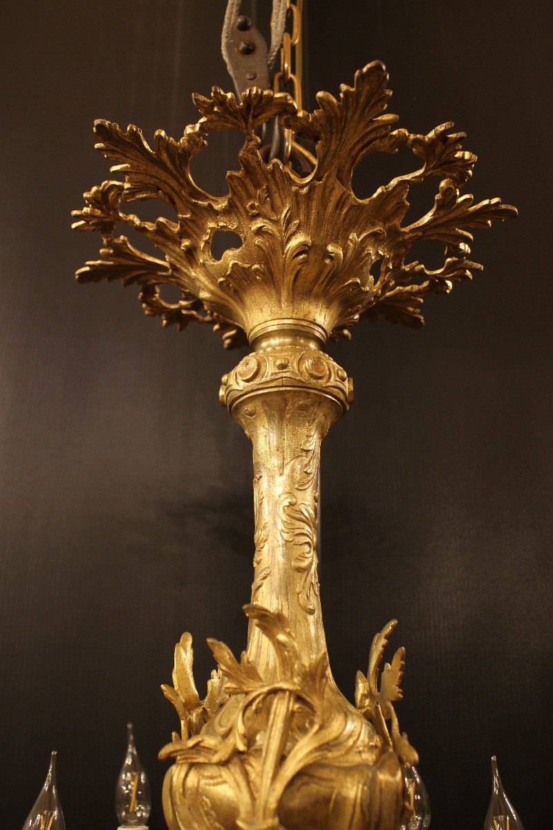 Important Louis XV Rocaille Style Chandelier In Gilt Bronze With 12 Lights-photo-2