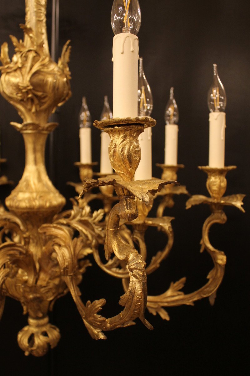 Important Louis XV Rocaille Style Chandelier In Gilt Bronze With 12 Lights-photo-2