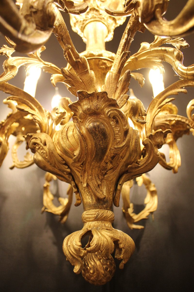 Important Louis XV Rocaille Style Chandelier In Gilt Bronze With 12 Lights-photo-5